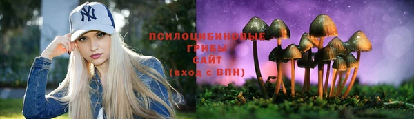 прущие грибы Сосновый Бор
