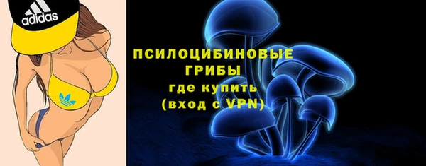 мяу мяу мука Сафоново