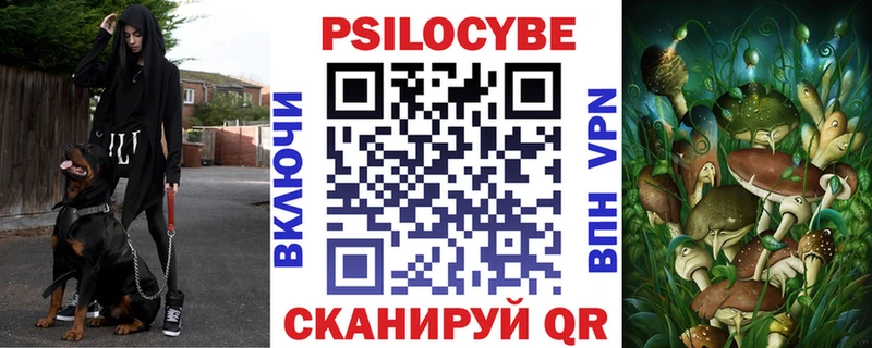нарко площадка клад что такое Никольское Галлюциногенные грибы MAGIC MUSHROOMS kraken ссылки